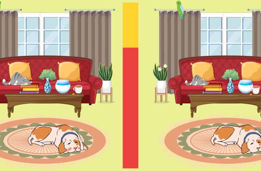 Encuentra las diferencias: ¿Puedes encontrar 5 diferencias en la escena de una sala de estar en menos de 15 segundos?